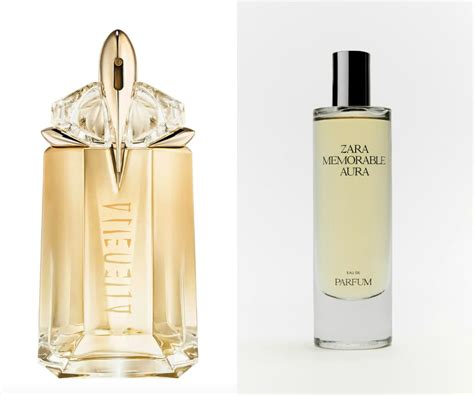 dup parfum|best perfume dupe site.